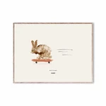 MADO Plakát Rocky the Rabbit