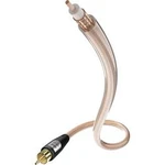 Kabel 1x cinch vidlice ⇒ 1x cinch vidlice, 2 m, průhledný, Inakustik