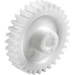 Polyacetal čelní ozubené kolo Reely Typ modulu: 0.5 Ø otvoru: 4 mm Počet zubů: 25