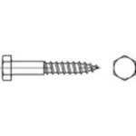 Vruty se šestihrannou hlavou Toolcraft, vnější šestihran, DIN 571, 5 x 20 mm, gal. Zn, 100 ks