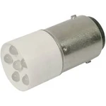 LED žárovka BA15d CML, 1864035W3, 24 V, 2400 mcd, chladná bílá