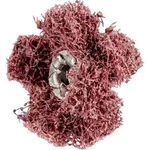 KOŇSKÉ brusné hvězdy PFERD 44698254 Průměr 25 mm