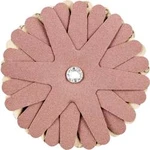 KOŇSKÉ brusné hvězdy PFERD 42732168 Průměr 100 mm
