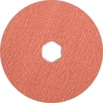 PFERD 64191012 KŮŇ brusný talíř Průměr 115 mm
