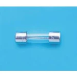 Trubičková pojistka Belfuse BEL FUSE Sicherung 5ST Serie 125 mA, 5ST 125-R, (Ø x d) 5 mm x 20 mm T pomalá, 100 ks Bulk