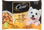 Cesar Kapsička Selection v Želé 4×100g