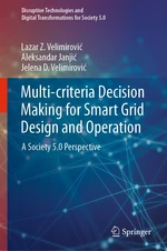 Multi-criteria Decision Making for Smart Grid Design and Operation