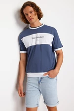 Trendyol Indigo Relaxed Color Block Printed 100% Cotton T-Shirt