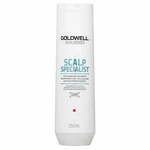 Goldwell Dualsenses Scalp Specialist Anti-Dandruff Shampoo šampon proti lupům 250 ml Goldwell Dualsenses Scalp Specialist Anti-Dandruff Shampoo šampon proti lupům 250 ml
