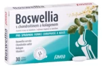 Favea Boswellia s kolagenem 30 tablet