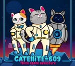 Catellite-609: feline space adventure Steam CD Key