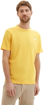 Tom Tailor Pánské triko Regular Fit 1040821.34663 L