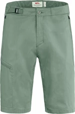 Fjällräven Abisko Hike Shorts M Patina Green 52 Pantalones cortos para exteriores