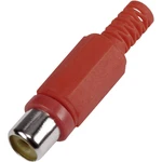 TRU COMPONENTS 595235-1 cinch konektor zásuvka, rovná Pólov: 2  červená 1 ks