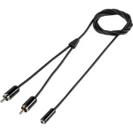 SpeaKa Professional SP-7870036 cinch / jack audio prepojovací kábel [2x cinch zástrčka - 1x jack zásuvka 3,5 mm] 1.00 m