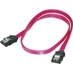 Digitus pevný disk prepojovací kábel [1x SATA zásuvka 7-pólová - 1x SATA zásuvka 7-pólová] 0.50 m červená