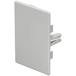 OBO Bettermann 6183816 zakončenie  (š x v) 60 mm x 90 mm 10 ks svetlo sivá