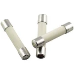 Trubičková pojistka ESKA 528020, 528020, (Ø x d) 5 mm x 25 mm 2 A 250 V středně pomalá -mT-, 200 ks
