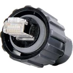 Sada RJ45 Conec 17-100464, zástrčka vestavná