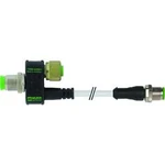 T-rozdělovač Murr Elektronik 7000-42601-0000000 1 ks