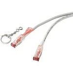 Síťový kabel RJ45 Renkforce RF-4533114, CAT 6A, S/FTP, 1.00 m, šedá