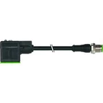 Ventilová zástrčka Murr Elektronik 7000-40881-6260100 černá, 1 ks