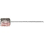 Vějířová bruska NA KŮŇ PFERD 44400006 Průměr 10 mm