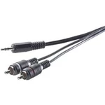 Cinch / jack audio kabel SpeaKa Professional SP-7869912, 30.00 cm, černá