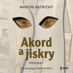 Akord a jiskry - Martin Patřičný