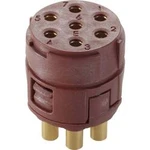 EPIC® SIGNÁL M23 E, 7pólový LAPP 44420158, 5 ks