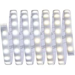 LED pásek rozšíření Paulmann 70550, 24 V, 16 W, N/A, 2.5 m