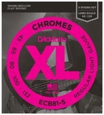 D'Addario ECB81-5