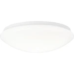 Brilliant Fakir G96975/05 LED stropné svietidlo biela, chladná biela 20 W   En.trieda 2021: F (A - G)