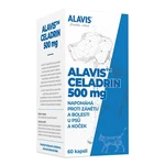 ALAVIS Celadrin 500 mg  60 tablet