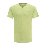 Men's T-shirt ALPINE PRO VUSEF woodbine