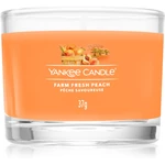Yankee Candle Farm Fresh Peach votívna sviečka 37 g