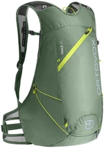 Ortovox Trace 25 Green Isar Ski Reisetasche