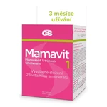 GS Mamavit 1 Plánování a 1.trimestr 90 tablet