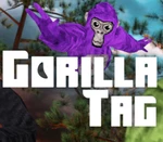 Gorilla Tag PC Steam Account