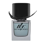 Burberry Mr. Burberry woda toaletowa dla mężczyzn 50 ml