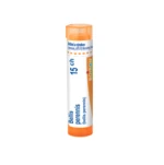 Boiron BELLIS PERENNIS CH15 granule 4 g