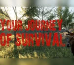 Your Journey of Survival Steam CD Key