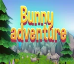 Bunny adventure Steam CD Key
