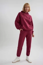 DEFACTO Standard Fit Double Pocket Thick Sweatshirt Fabric Pants