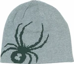 Spyder Mens Reversible Innsbruck Hat Cypress Green UNI Zimowa czapka