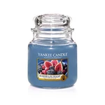Yankee Candle Aromatická svíčka Classic malý Mulberry & Fig Delight 104 g