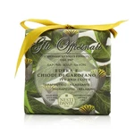 Mýdlo GLI OFFICINALI Ivy & Clove 200g