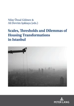 Scales, Thresholds And Dilemmas Of Housing Transformations In Istanbul