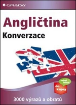 Angličtina Konverzace - Cribbin Lise, Brenda Schmidt