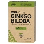 VITAR EKO Ginkgo biloba 60 mg + DMAE + vitamn B6 60 kapslí